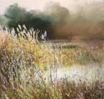 December afternoon. Thelnethan Fen