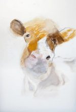'Cow'