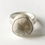 Fossil Sand Dollar Ring in Silver