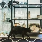 We display ceramics and jewellery too