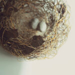 Goldfinch Nest Sculpture made with repurposed electrical wire