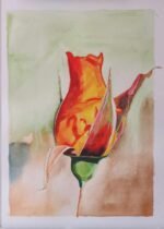 Steve McGough Artist