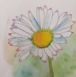Steve McGough Artist