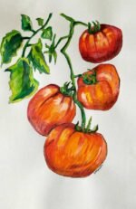 Steve McGough Artist