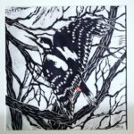 Woodpecker at Dukes Bridge (Lino print, 30 x 45cm)