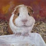 The Hungry Guinea Pig - Framed Oil Painting 20 x 20 cm