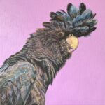 Hugo - Black Cockatoo acrylic on canvas 50 x 50 cm