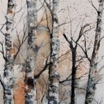 Silver Birches - ink and watercolor