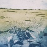 Sea Kale, etching