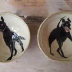 Black Shuck bowls