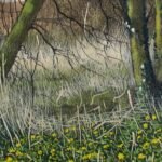 Celandine Woodland. Gouache.