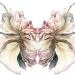 The Imaginal Rose