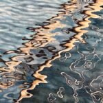 Jill Draper