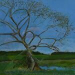 Sally Tyley