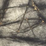 'Hedgerow' graphics and found hedgerow wood