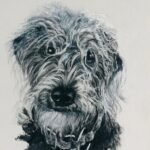 Commission ‘Lucca’