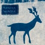 ‘Wander, Wonder’, cyanotype and stitch