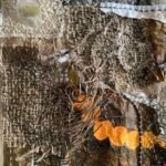 ‘Hidden Treasure’ (detail), mixed media textile