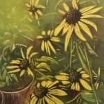 Rudbeckia