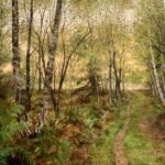 Rendlesham Forest
