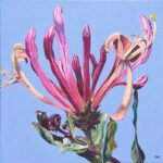 Honeysuckle
