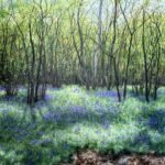 Bluebells at Bradfield Woods