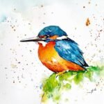Kingfisher. Watercolour and Ink