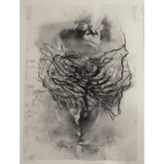 Charcoal on paper