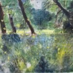 Fenn Meadow 1