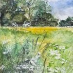 Suffolk Meadow 3