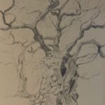 Tree study 1
