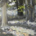 Dappled Wood, Summer