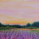 Heather Sunset