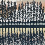 Reflections Reflections