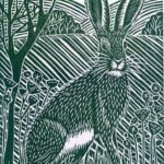 Winter Hare Winter Hare
