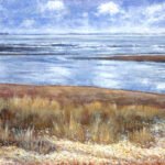 Orford Ness from Shingle street