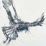 Marsh Harrier, lithograph