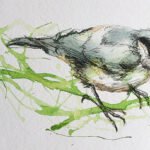 Nuthatch, ink on paper