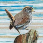 Winter - Jenny Wren's song