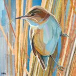 Reed Warbler