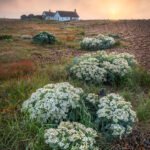 Shingle Street Sunrise