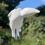 Jane Martin Jane Martin