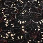 Liz Shackleton Liz Shackleton