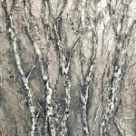 Silver Saplings 50cm x 50cm framed