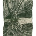 Tree at Mae Klang Waterfall - (Thailand) - Charcoal