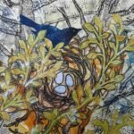 Bird's Nest Bird's Nest