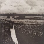Minsmere etching
