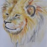 Watercolour and pen lions head