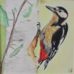 Coloured pencil woodpecker
