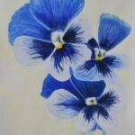 Watercolour pansies